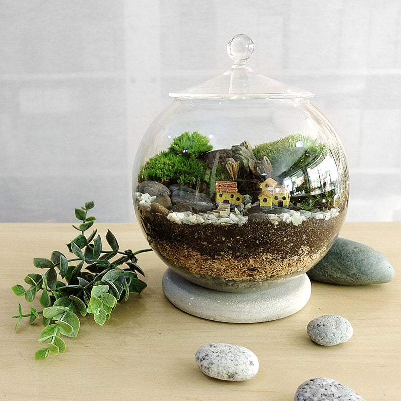 Moss Terrarium (Globe Lid Jar) DIY Kit
