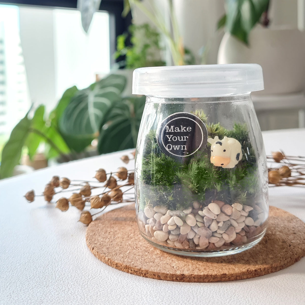 event booth workshop activity moss terrarium singapore