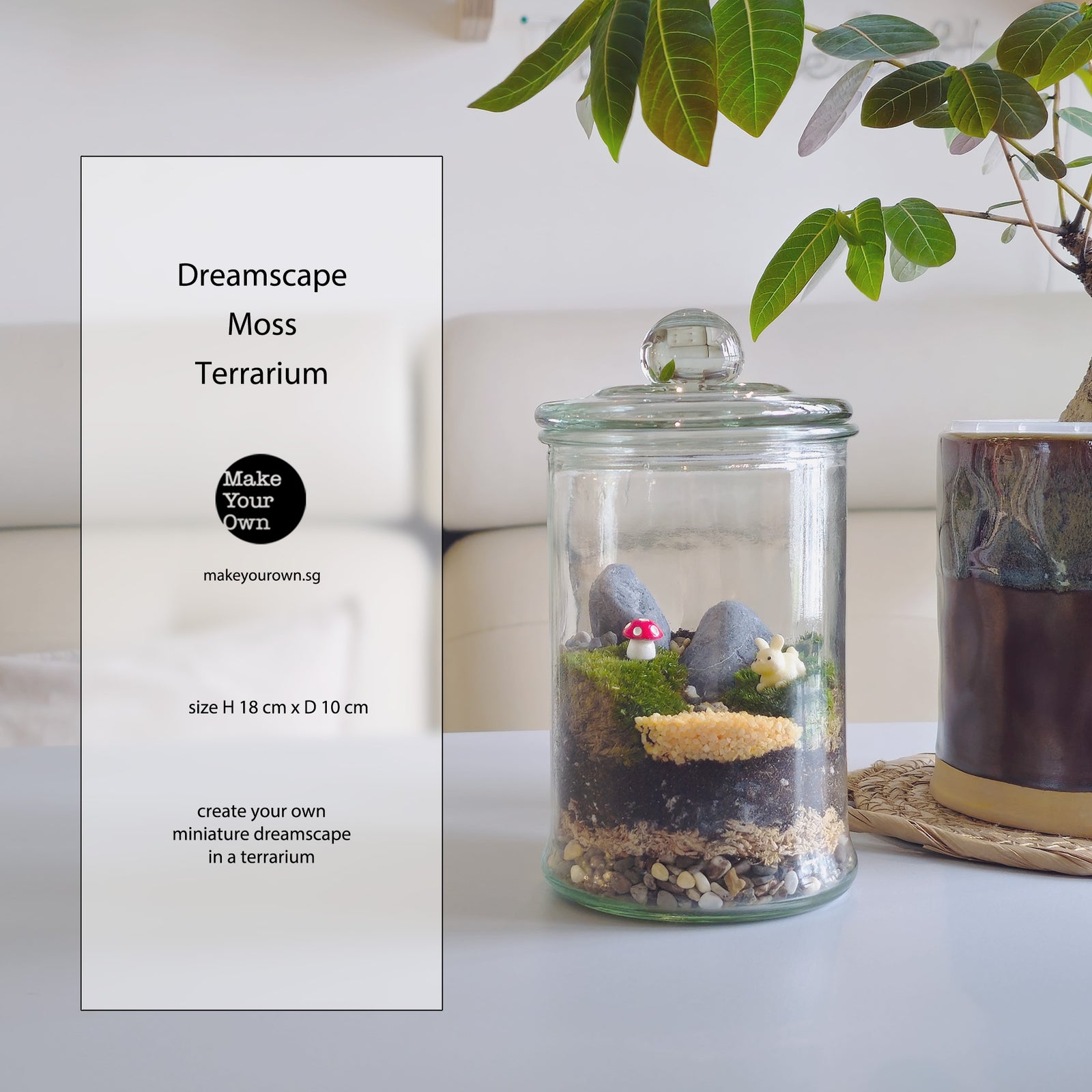 moss terrarium make your own corporate workshop Singapore