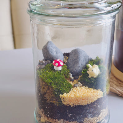 moss terrarium make your own corporate workshop Singapore