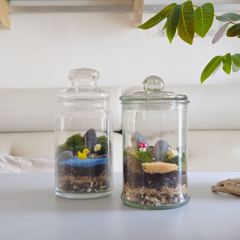 moss terrarium make your own corporate workshop Singapore