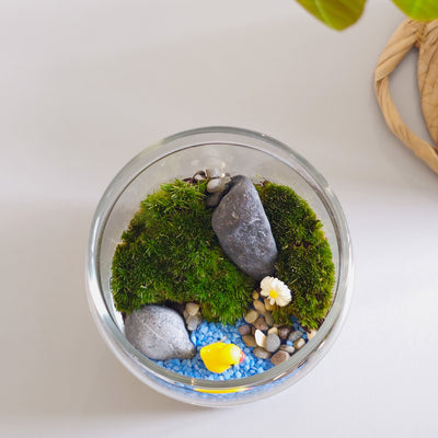 moss terrarium make your own corporate workshop Singapore