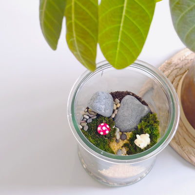 moss terrarium make your own corporate workshop Singapore