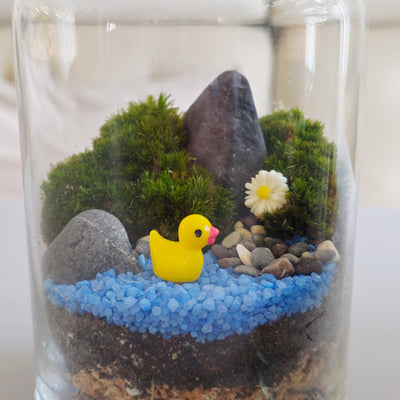 moss terrarium make your own corporate workshop Singapore