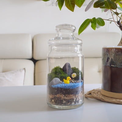 moss terrarium make your own corporate workshop Singapore