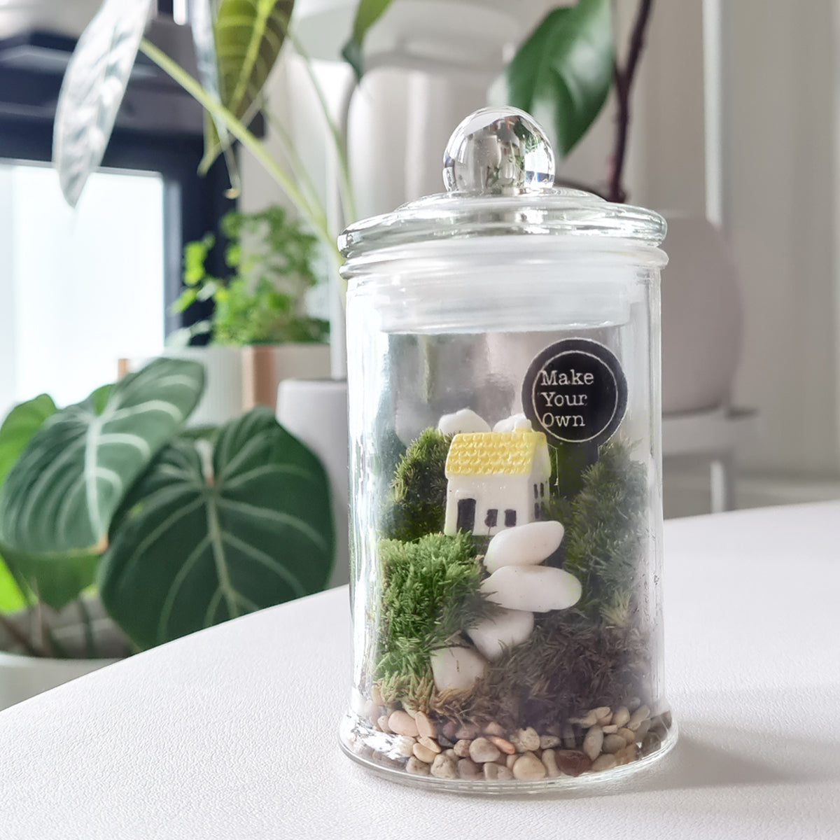 event moss terrarium activity booth singapore workshop