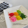 tourism board tourist souvenirs sg edition nation day celebration workshop mr merlion coaster make your own Singapore corporate workshop