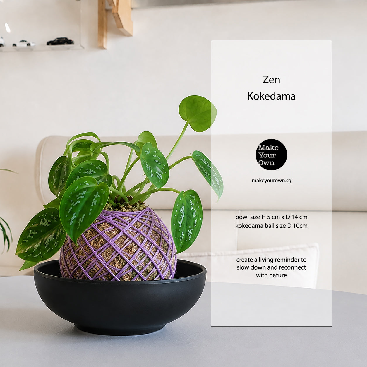 zen kokedama workshop Singapore mental wellness corporate team bonding plant terrarium make your own 