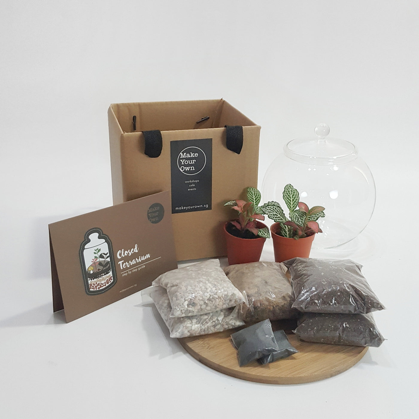 Terrarium DIY kits Singapore Make Your Own