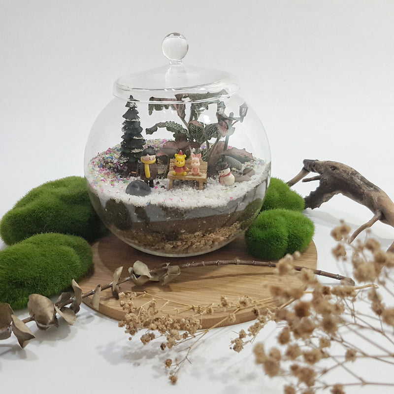 Closed Terrarium (Globe Lid Jar) DIY Kit