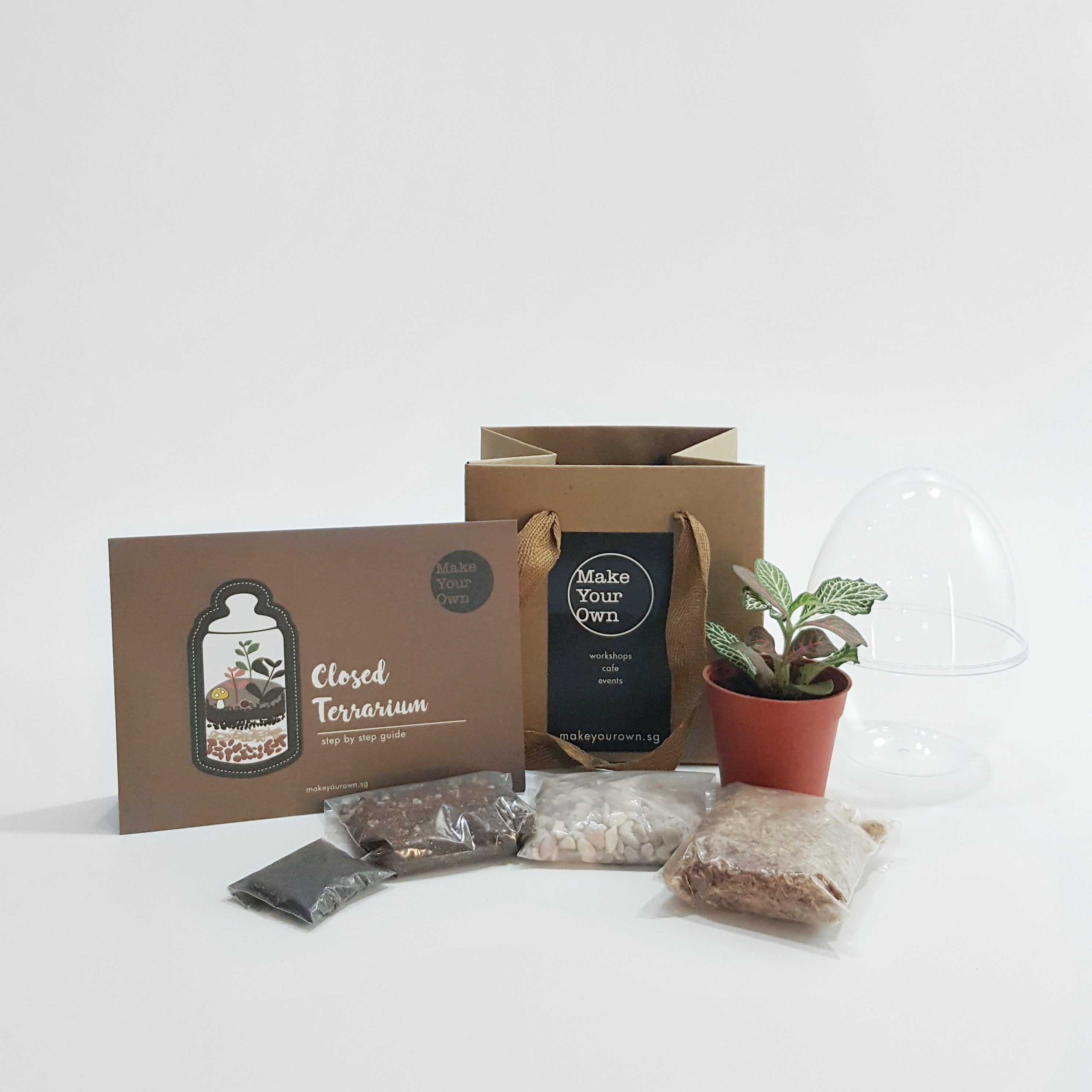 Terrarium DIY kits Singapore - Make Your Own