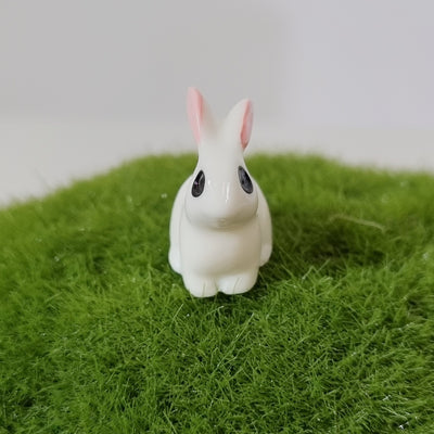 Rabbit C