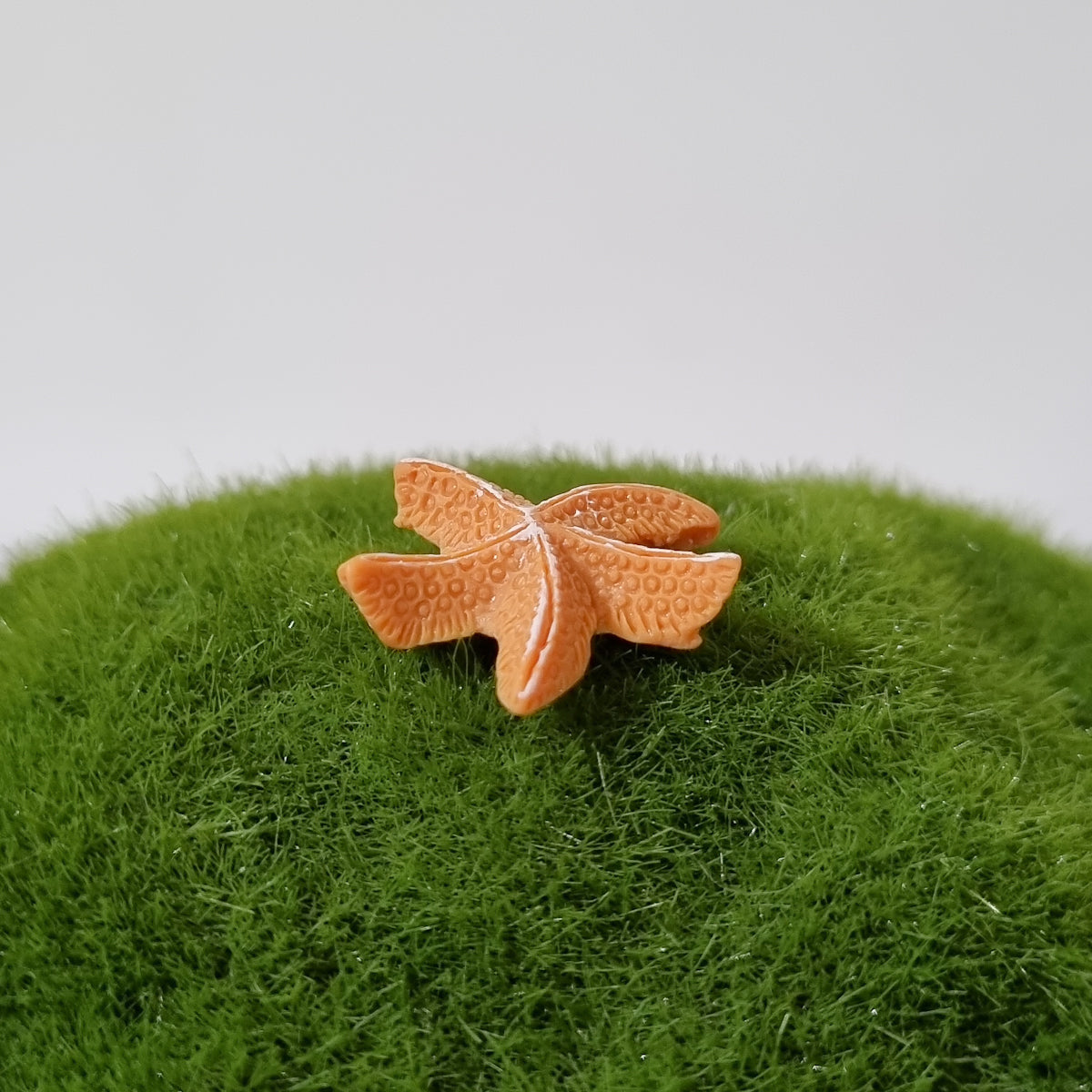 Starfish assorted colors