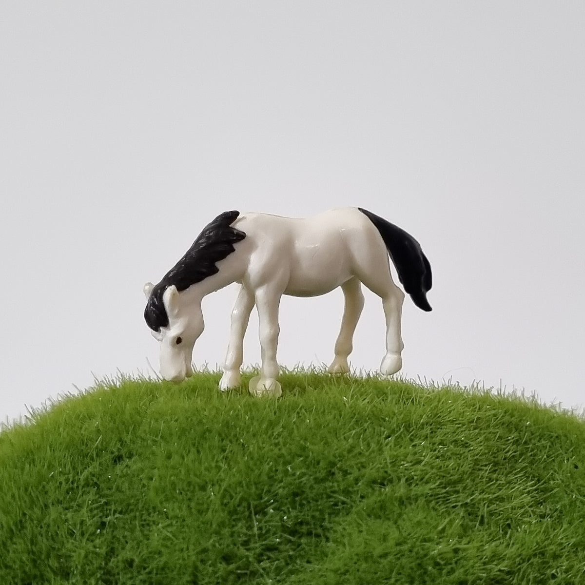 Horse A assorted colors