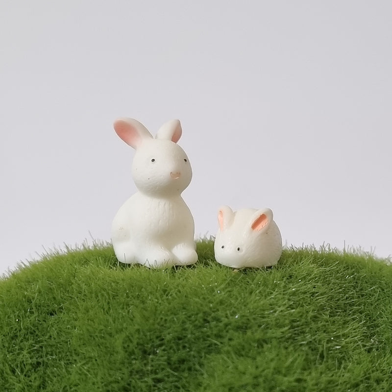 A pair of Rabbits