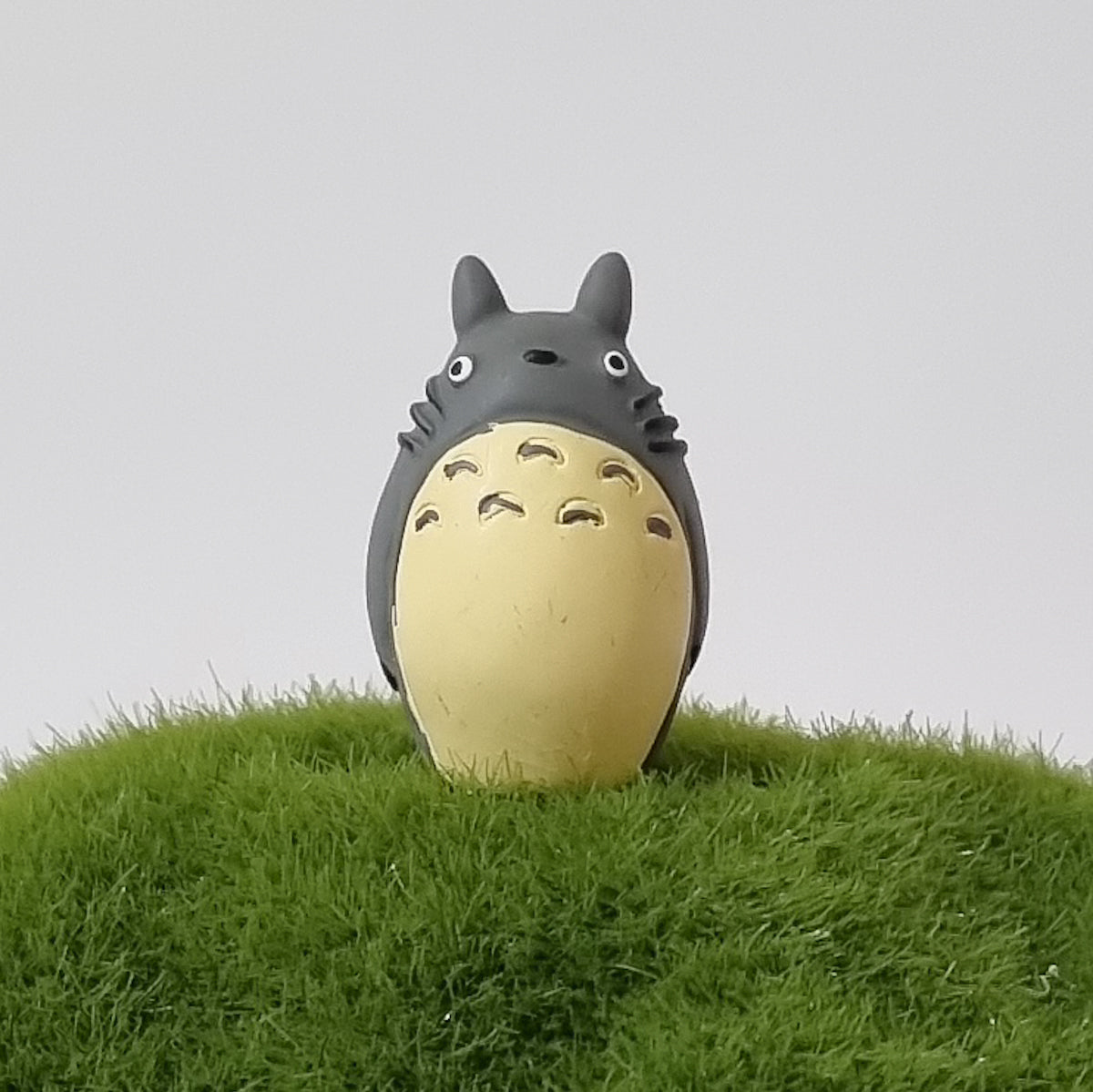 Totoro D