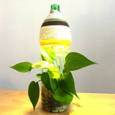 Corporate Eco Bottle Planter Lamp Workshop Singapore