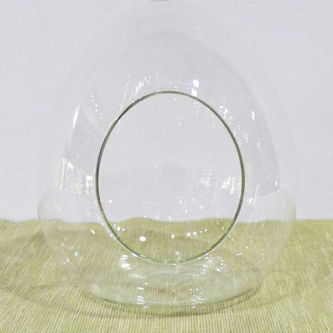 Terrarium glass container singapore