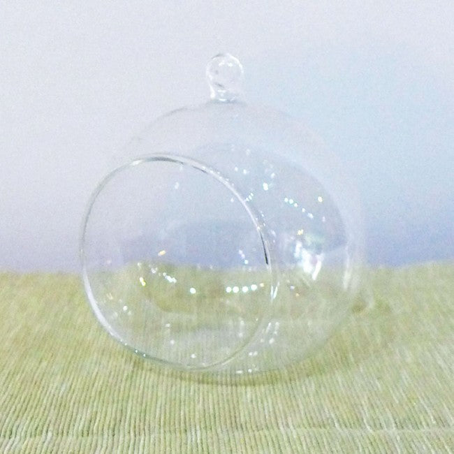Terrarium glass container singapore