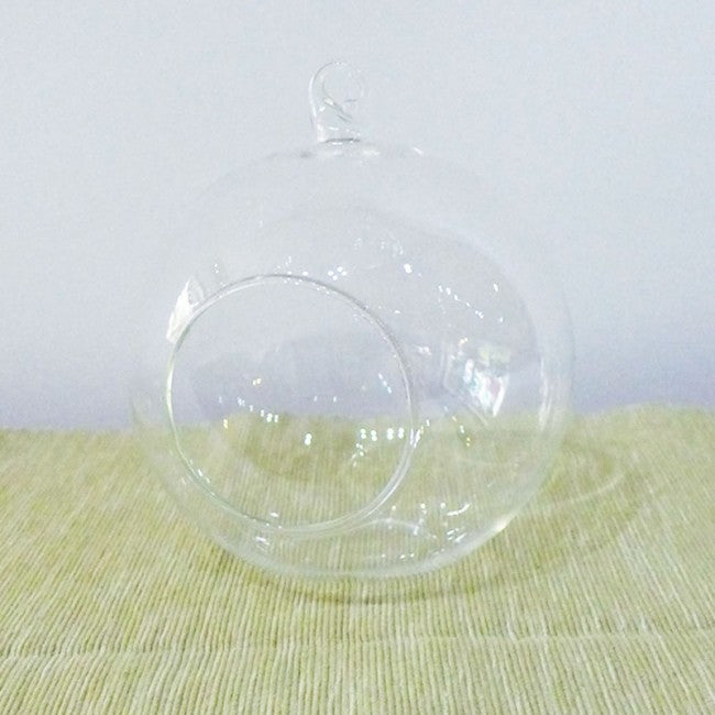 Terrarium glass container singapore