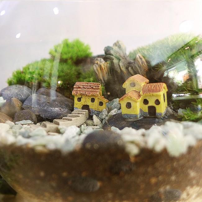 terrarium plants singapore Corporate Dreamscape Moss Terrarium Workshop