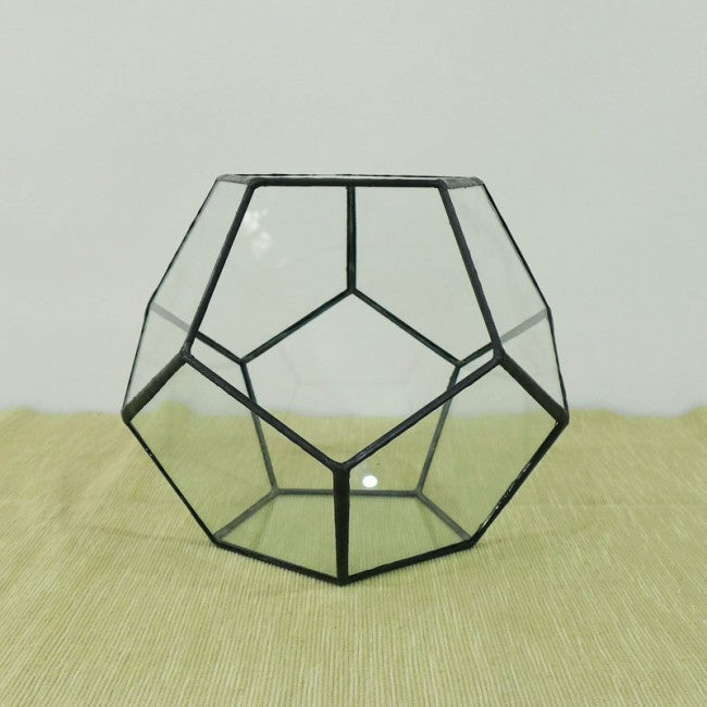 Terrarium glass container singapore
