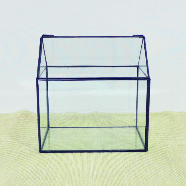 Terrarium glass container singapore