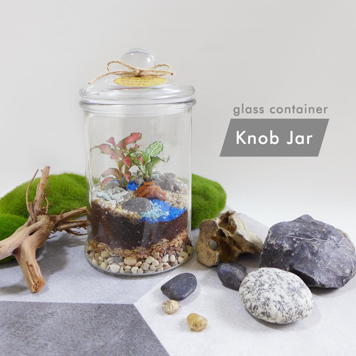 Closed Terrarium DIY Kit Make Your Own