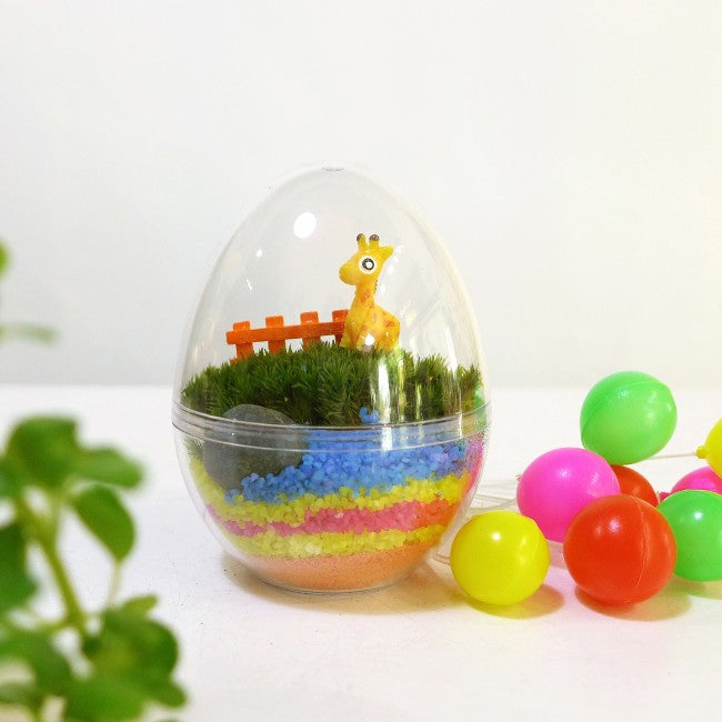 Kids Party Mini Egg Moss Terrarium DIY Kit