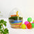 Kids Party Mini Egg Moss Terrarium DIY Kit