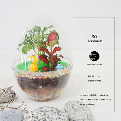 Virtual Zoom Corporate Egg Terrarium Workshop Singapore