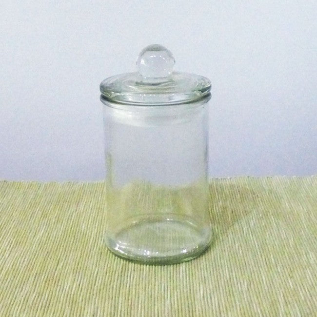 Terrarium glass container singapore
