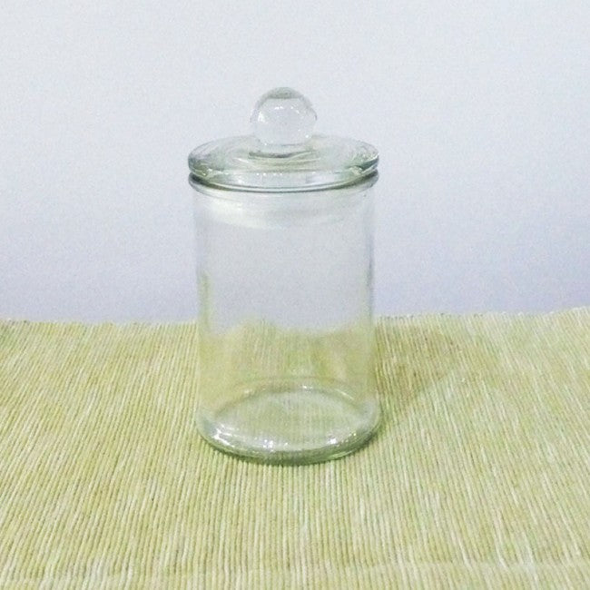 Terrarium glass container singapore
