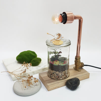 mini copper lamp and terrarium diy kit Singapore