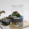 Terrarium ready made gift Singapore