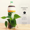 Corporate Eco Bottle Planter Lamp Workshop Singapore