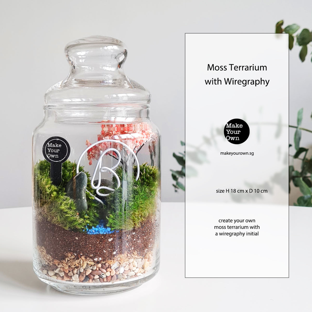 terrarium workshop corporate virtual singapore