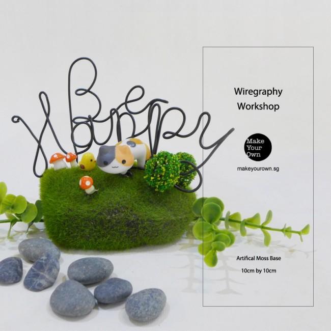 Virtual Zoom Corporate Wiregraphy Workshop Singapore