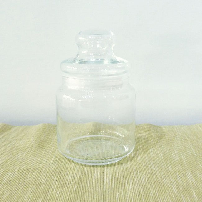 Terrarium glass container singapore