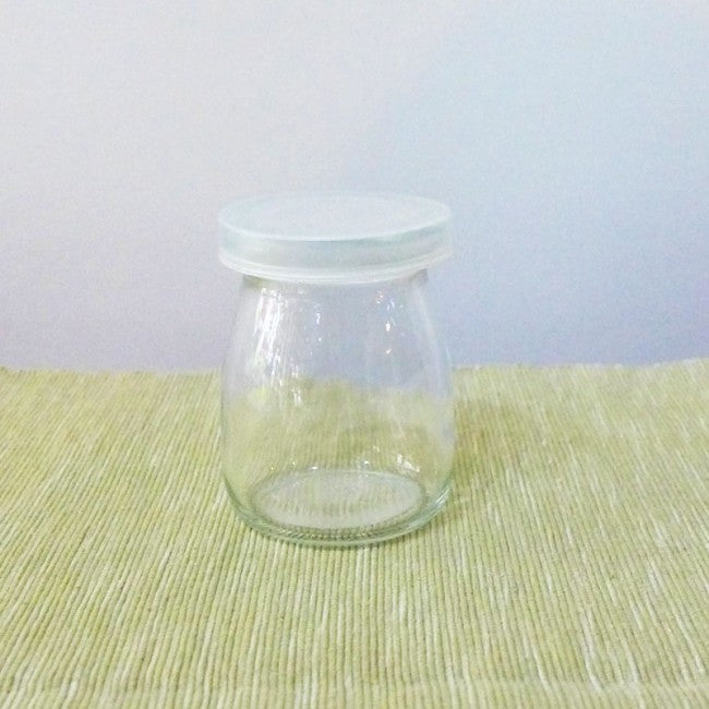 Terrarium glass container singapore