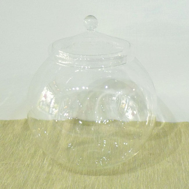 Terrarium glass container singapore