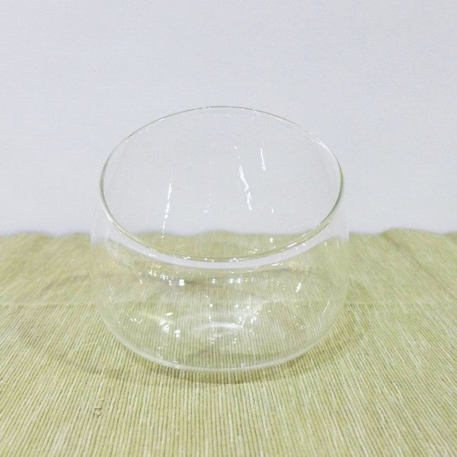 Terrarium glass container singapore
