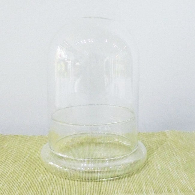 Terrarium glass container singapore