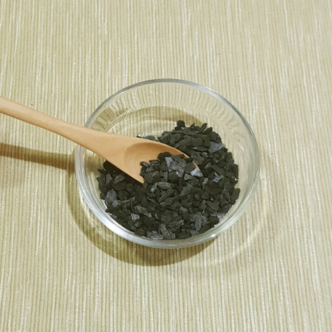 Terrarium basic materials singapore