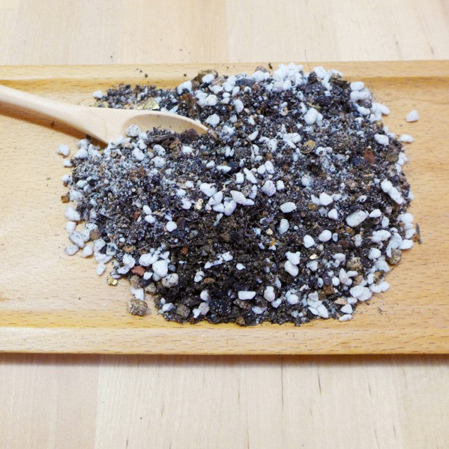 Terrarium basic materials singapore